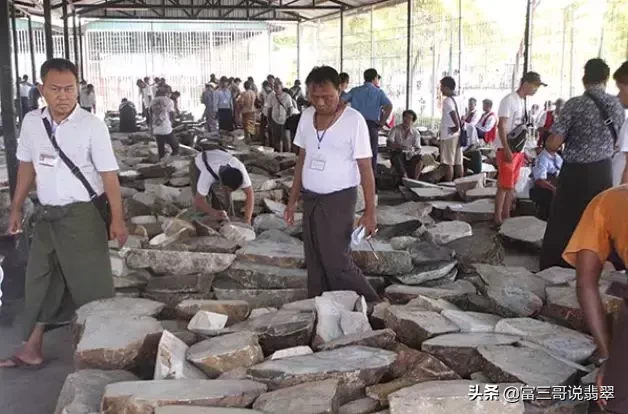 缅甸公盘开标中，3500万翡翠原石暴涨12.5倍，再演疯狂的石头