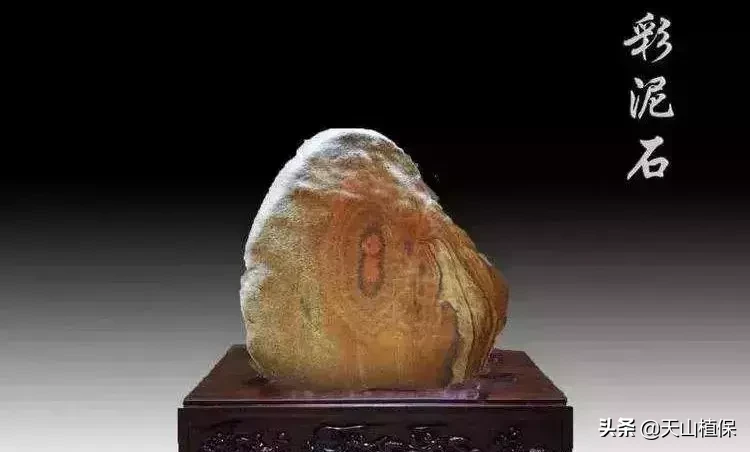 新疆人捡石头的最美季节又到了，教你在16个不同的地方捡石头！
