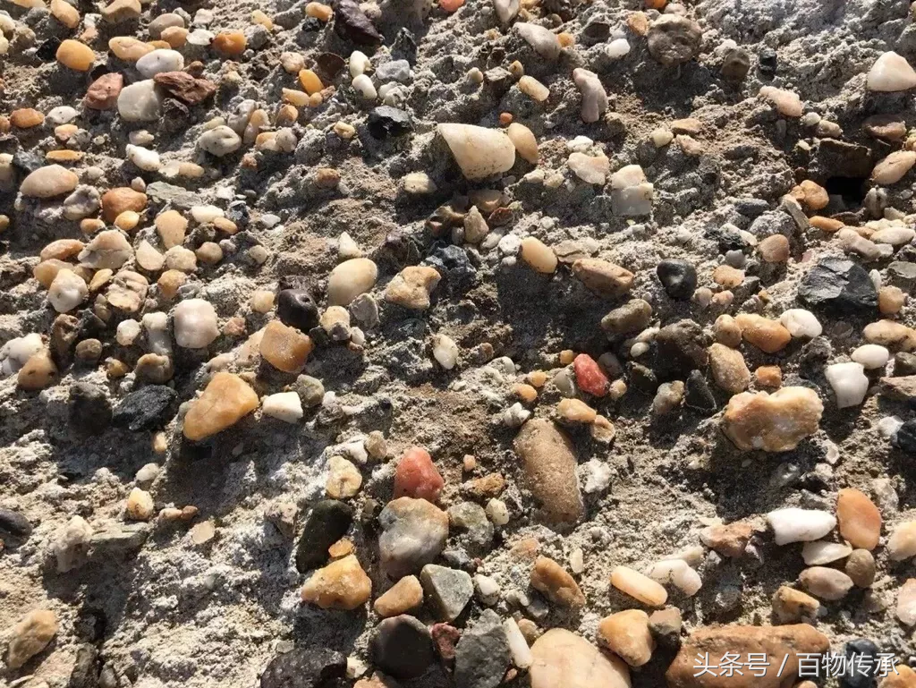 戈壁滩上还能捡到什么玉石？