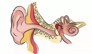 中耳炎怎么办 如何预防中耳炎