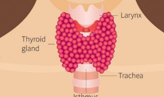 甲状腺结节纵横比大于1就是癌吗 甲状腺结节纵横比大于1严重吗