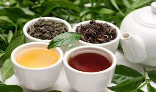 红茶种类有哪些 你了解吗