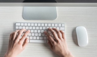 电脑键盘上手指怎么放 打字动作的手指位置