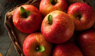 苹果怎么储存时间长 简单方法教你轻松保鲜苹果