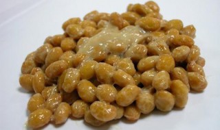 油濅纳豆粉是纳豆激酶吗 是什么样的食品