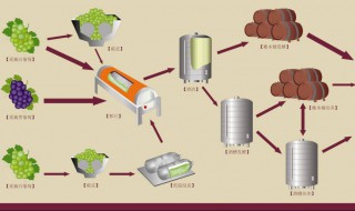自酿葡萄酒发酵过程 在家自酿葡萄酒的方法及步骤