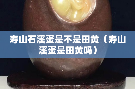 寿山石溪蛋是不是田黄